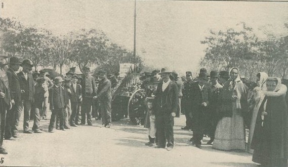 N27_0003_branca_t0-5