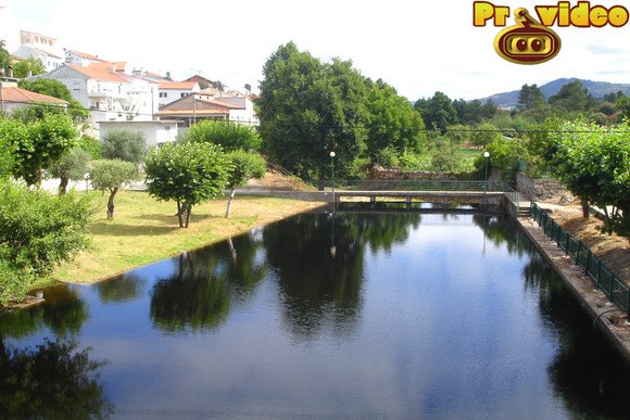 cavaca 12
