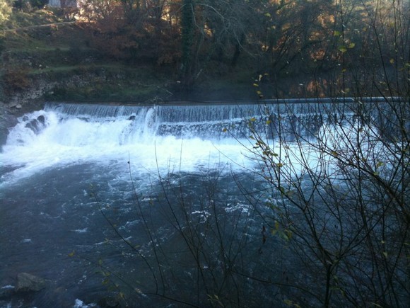 409096_302529589783829_110706878966102_778989_3281