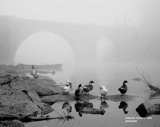 2 - Vaidades da Natureza