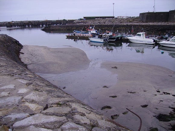 1533949_257840084370709_1834971031_n