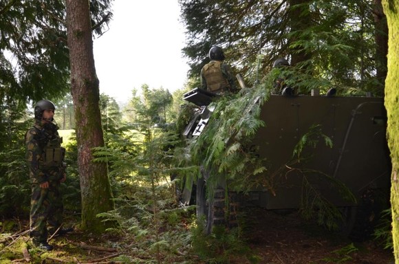 Exercício militar (2)