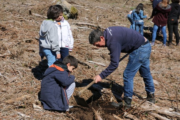 dia_internacioal_florestas_2016_6