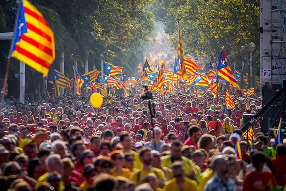 12002984_10153637833590798_4955020604399075885_n