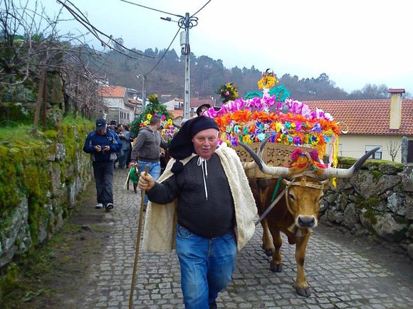 923469_605838436168874_904725054_n