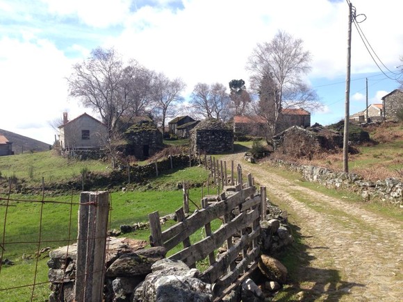 Branda Santo António 02