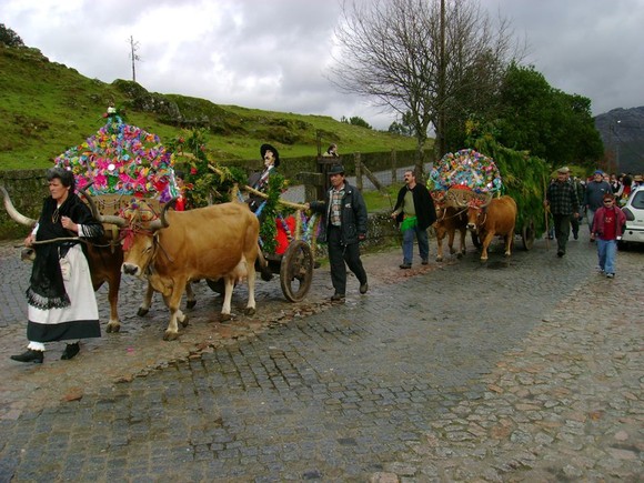 1622622_605836246169093_25957712_n