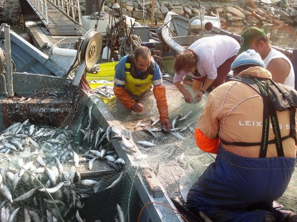 1278500_584453134951093_173487309_n