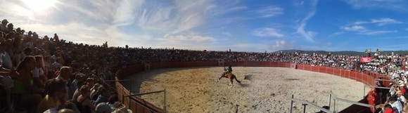 523360_456465617721163_691940870_n