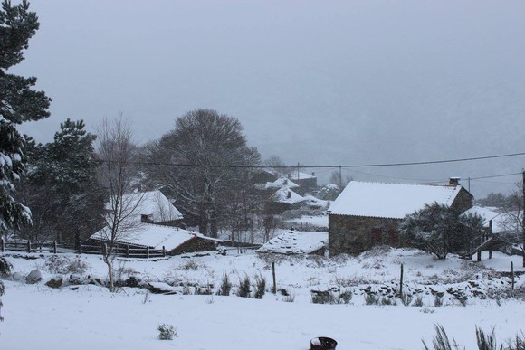 Branda Santo António 03