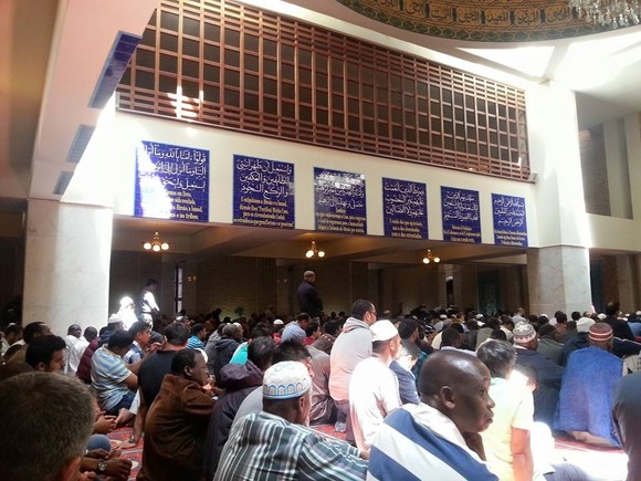 1507989_10206356105518322_2267949283615095534_n