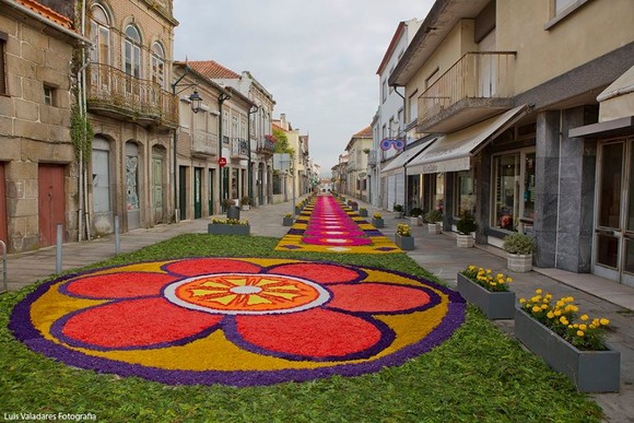 13256071_1023938017660727_5638604564902602174_n