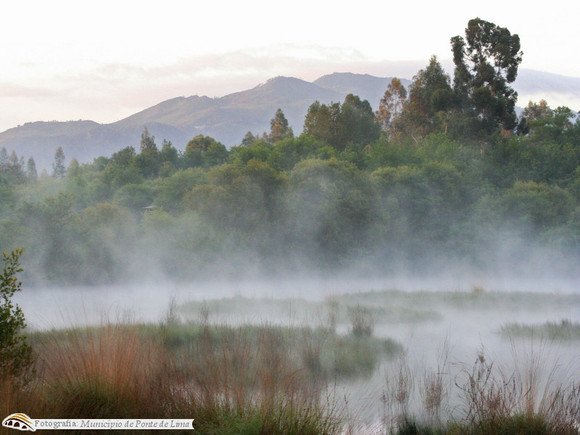 2fev2016_ZonasHumidas