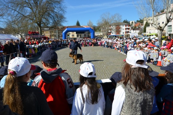 Dia Mundial da Proteção Civil em Cabeceiras de B