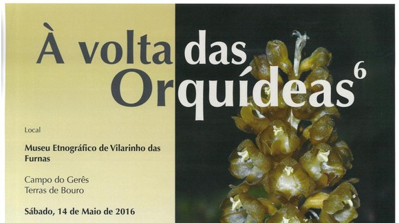 “À volta das Orquídeas” - Capa