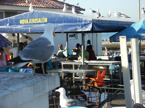 Vila Praia de Âncora - Jul2010 (122)