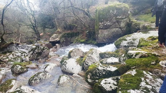 12476529_1242984655731596_1268355813_n