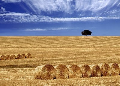 O Governo assinou hoje com sete empresas dez contratos para a ...