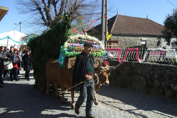 1900128_605815582837826_139924211_n