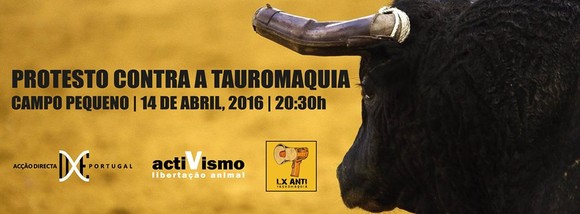 13012614_1060858737313741_239939255288315340_n