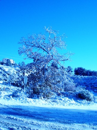 C:\Documents and Settings\José Manuel\Ambiente de