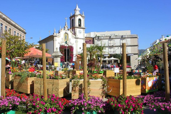 13076656_10209856156867133_4654191051642531715_n