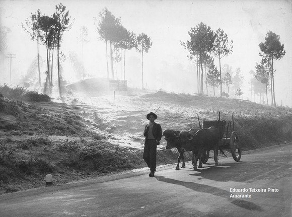 15 - Logo pela manhã