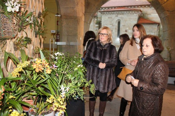 Festa das Orqu+¡deas