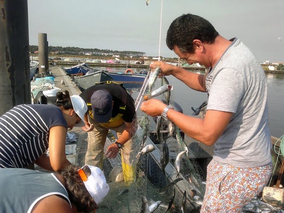 1080320_584453091617764_180602144_n