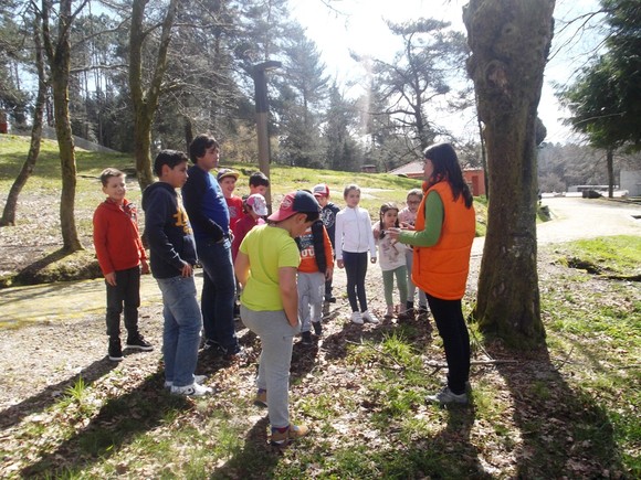 dia_arvore_porta_mezio_2016