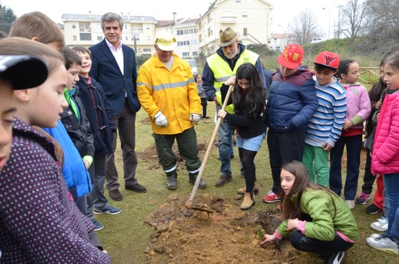 Plantações no Parque Urbano (2)
