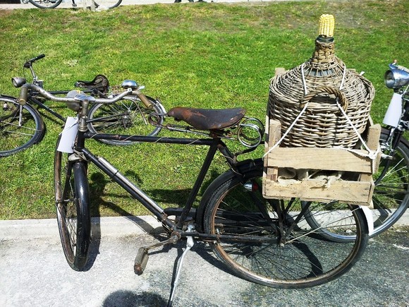 181013_510650528998021_896019821_n