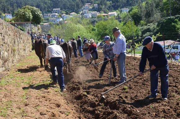 Lavoura Tradicional promoveu convívio intergeraci