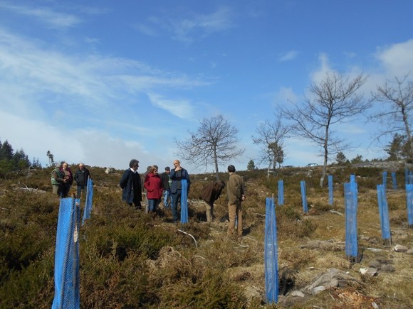 Visita aos Baldios de Bucos