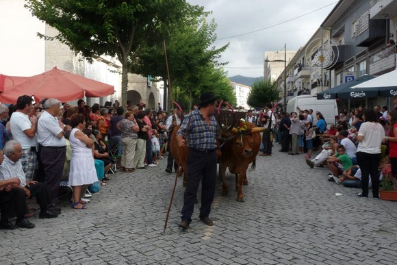 228580_453697861341939_797281806_n