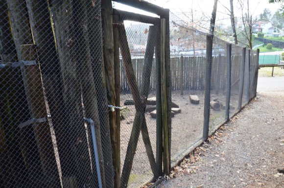 Correntes das jaulas foram substituídas