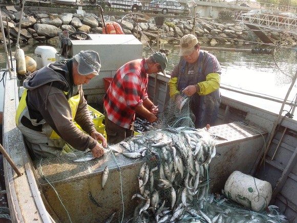 1167730_584453124951094_84904875_n