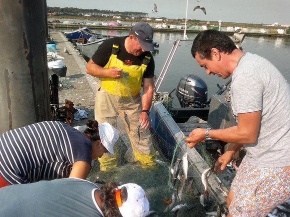 1081832_584453104951096_1286394428_n