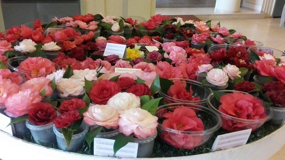 received_1101826729851815