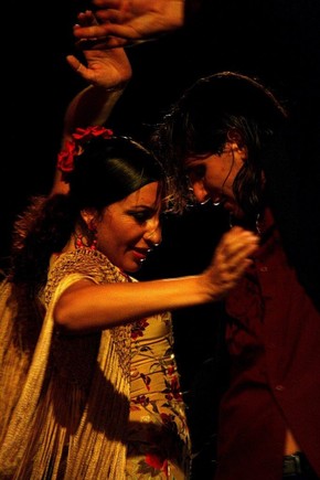 puerto flamenco- agenda