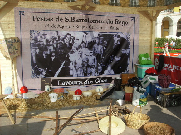 MegaPicNic Continente 007