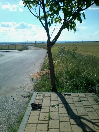 Alguém deve andar muito feliz por aí: descalço!