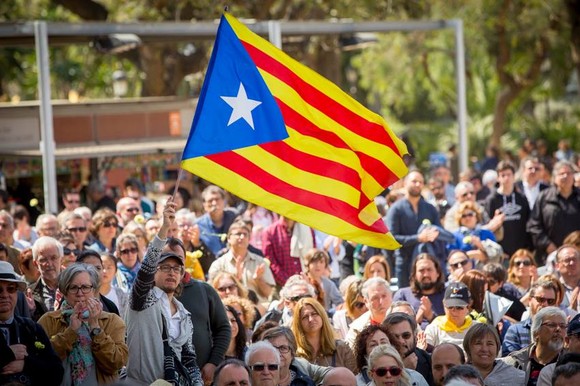 11082448_10153225527000798_9037401308987360170_n