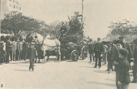 N27_0003_branca_t0-3