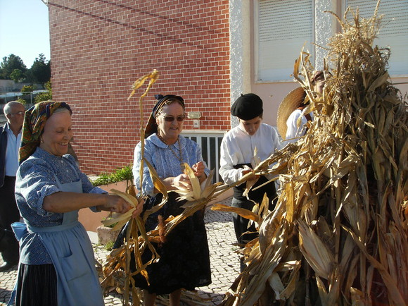 Desfolhada Verde Minho 023