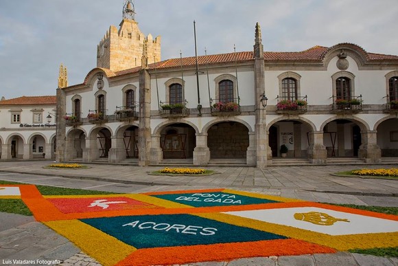 13230223_1023937154327480_5496405977814238393_n