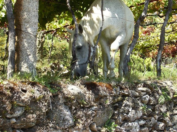 385996_2307029440509_1392483134_32334702_201217312