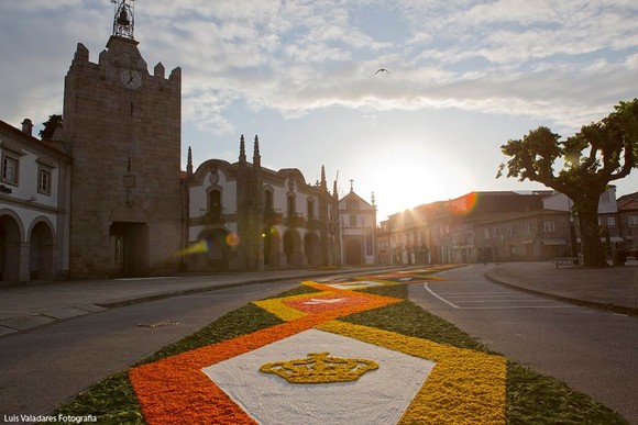 13240669_1023937000994162_2391047514302730051_n