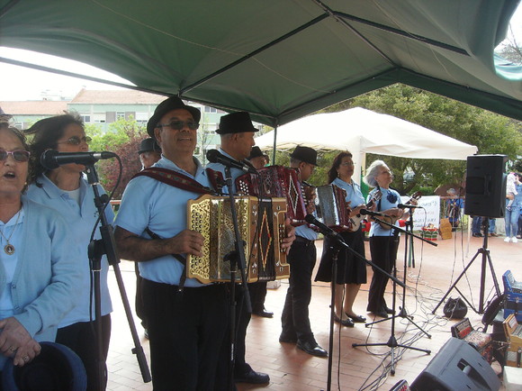 RFAlegriaminho-Assorpim 090