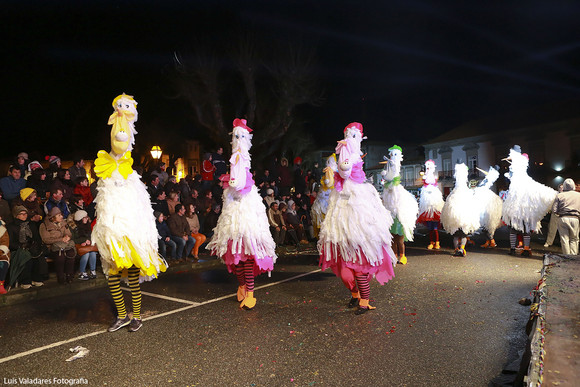 desfile carnaval noturno 2015 (4)